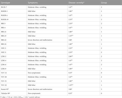 A novel study on bean common mosaic virus accumulation shows disease resistance at the initial stage of infection in Phaseolus vulgaris